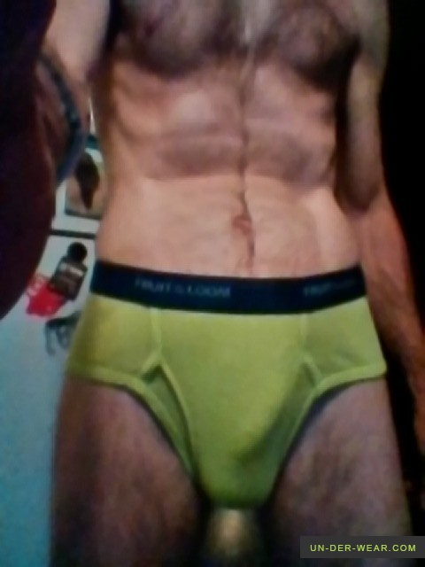 Fruit of the Loom Brief